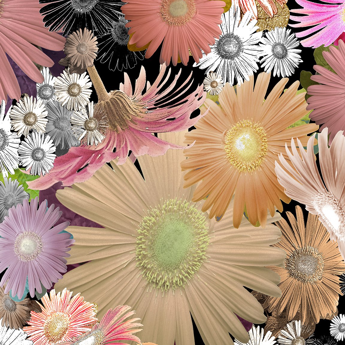 Colorful Floral Throw Pillow