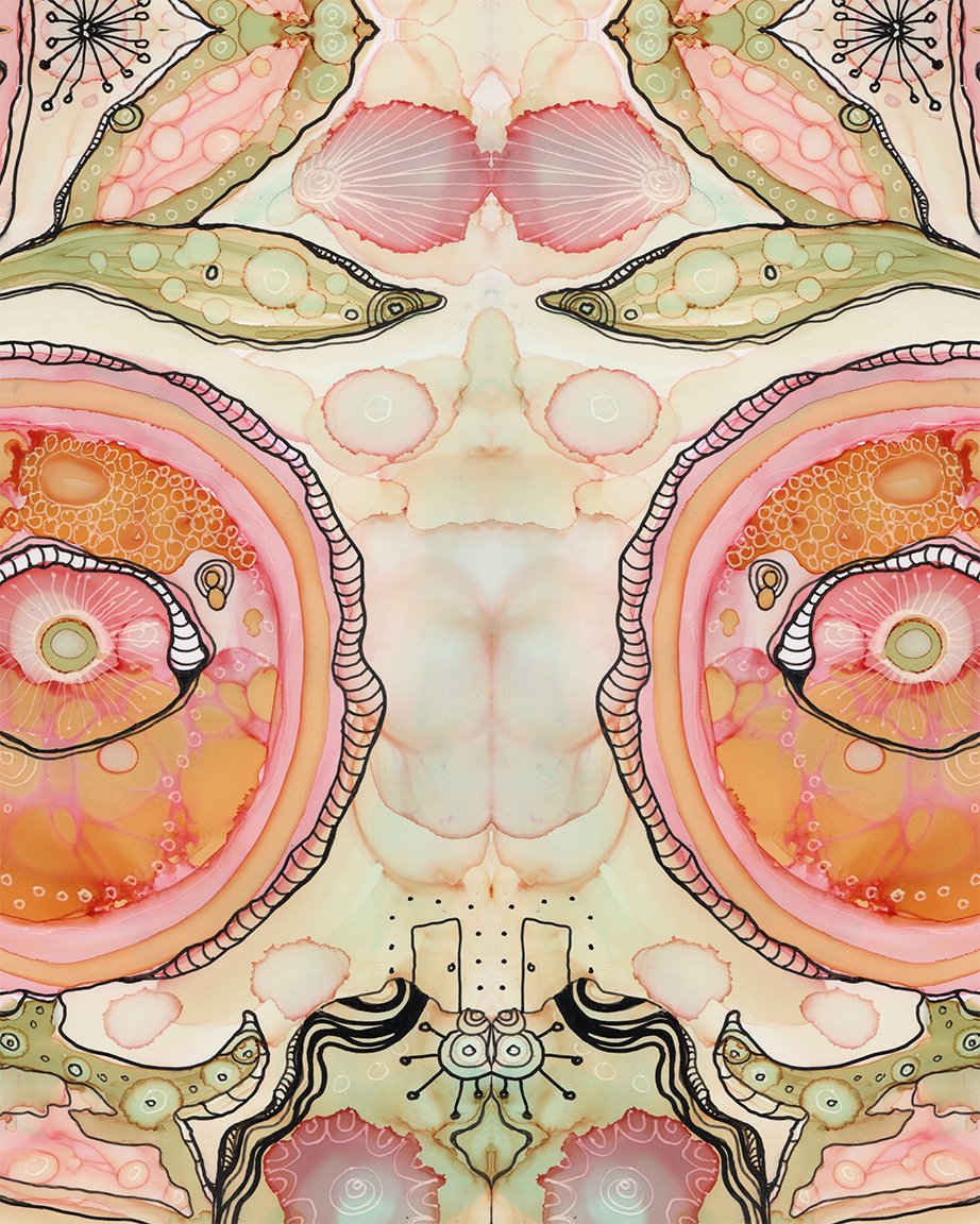 looking in-amzon-close 2