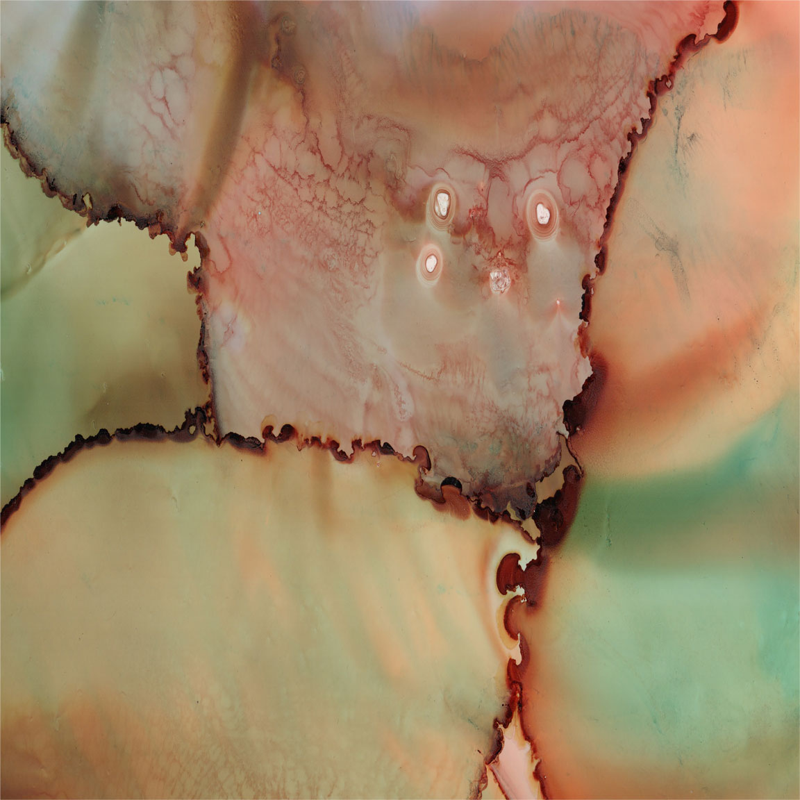 &#39;Abstract Kiss&#39; Fleece Blanket