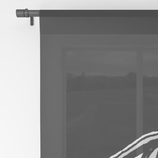 Window Curtains &quot;Big Eyes&quot;