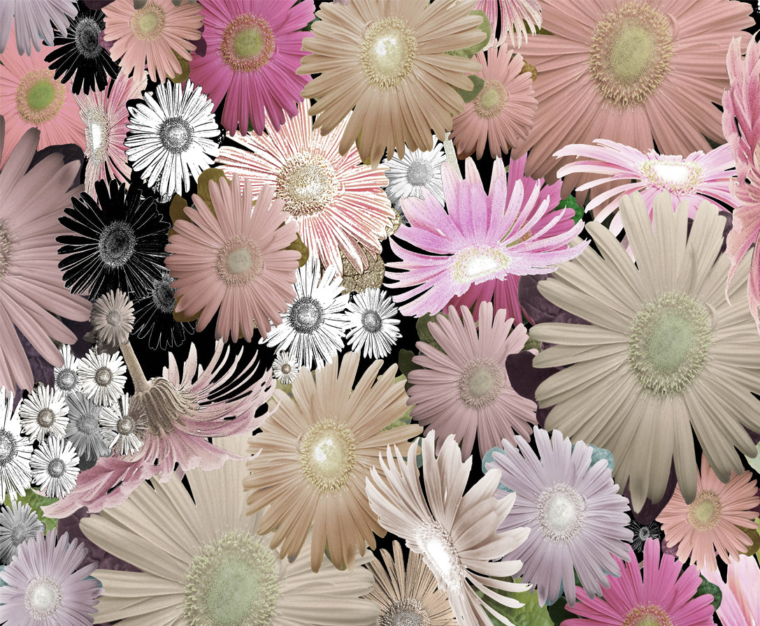 Art Print on Canvas &#39;C Floral 02&#39;