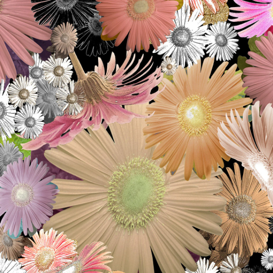 Window Curtains &quot;CFloral&quot;