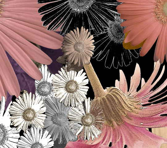 Window Curtains &quot;CFloral&quot;