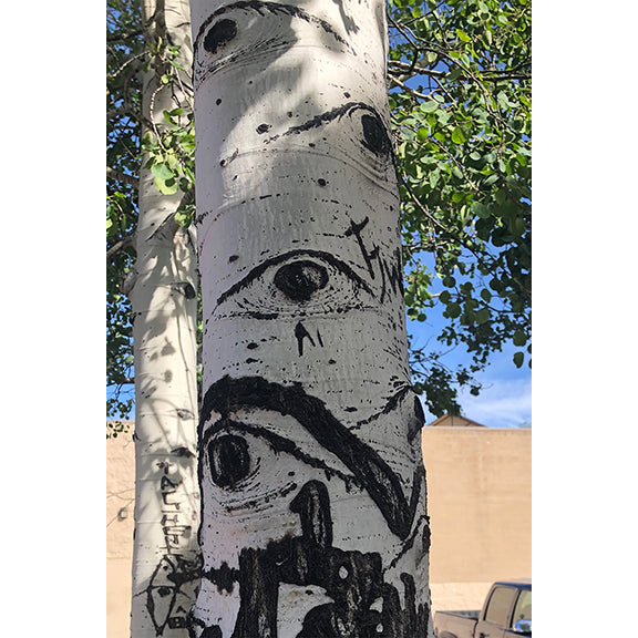 Original Mixed Media Fine Art &#39;Aspen Eyes&#39;